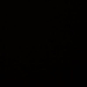 Meet your Posher, Tori